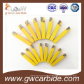 Tungsten Carbide Brazed Tips A10 A12 A16 A20